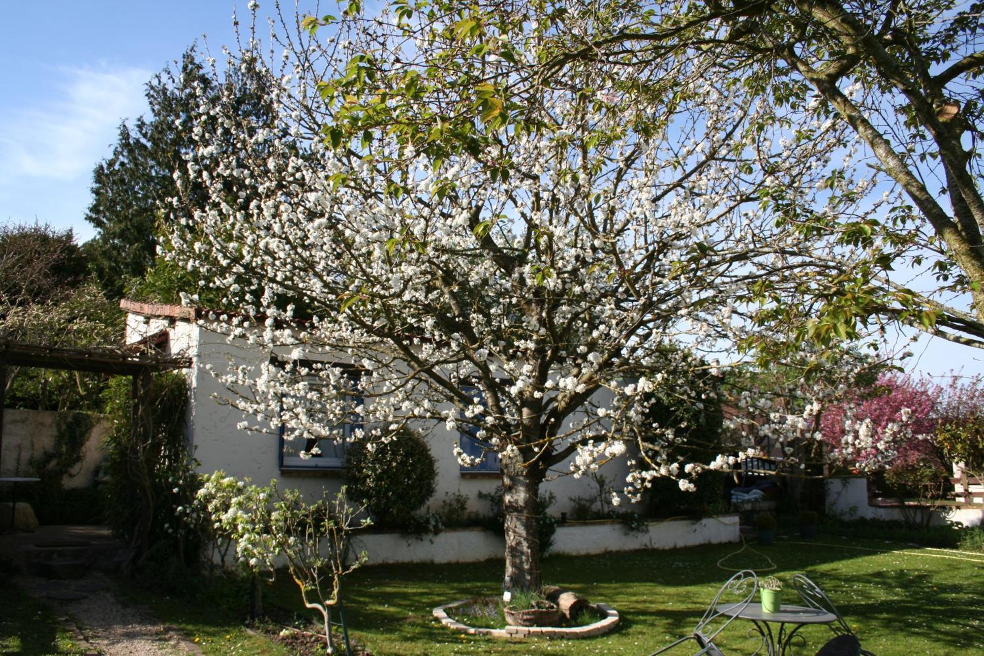 Le Cerisier Bed & Breakfast Mareil-Marly Eksteriør bilde