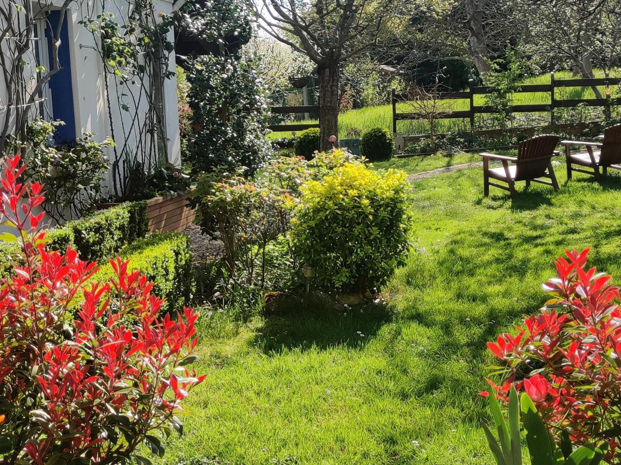 Le Cerisier Bed & Breakfast Mareil-Marly Eksteriør bilde